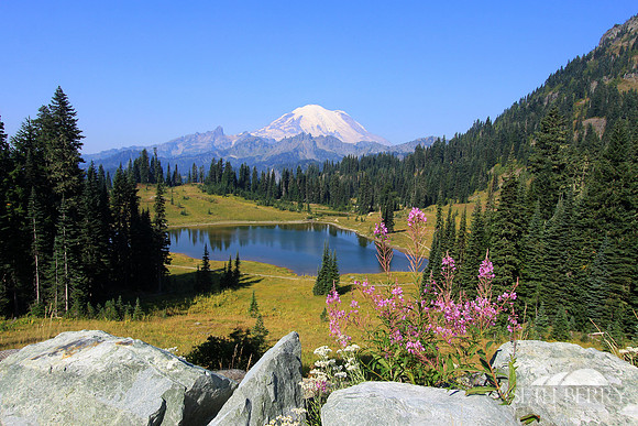 Tipsoo Lake, Mt. Rainier
