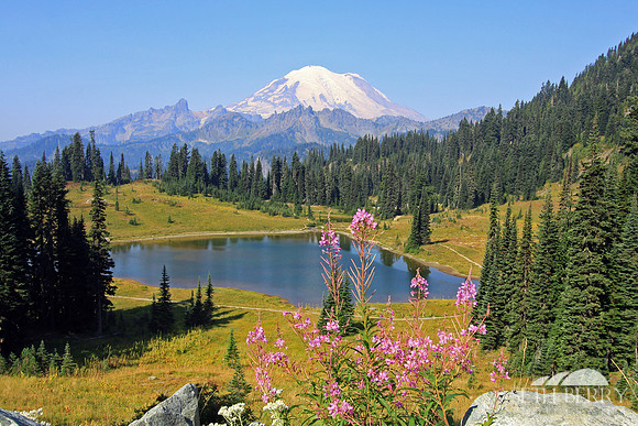 Tipsoo Lake, Mt. Rainier