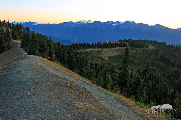 Hurricane Ridge Sunset