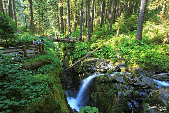 Sol Duc Falls