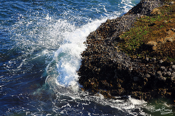 Cape Flattery