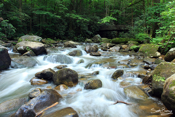 Middle Saluda River at Jones Gap
