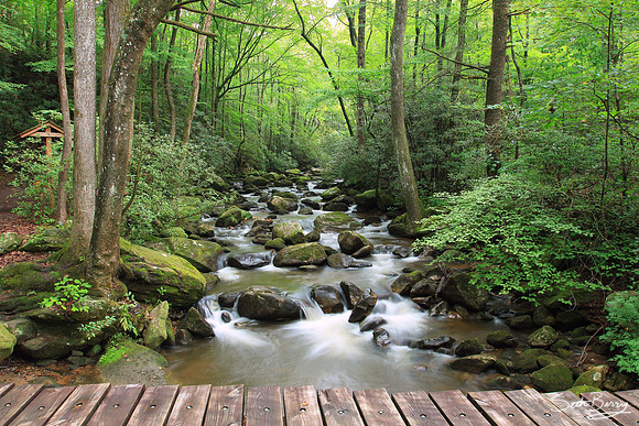 Jones Gap State Park