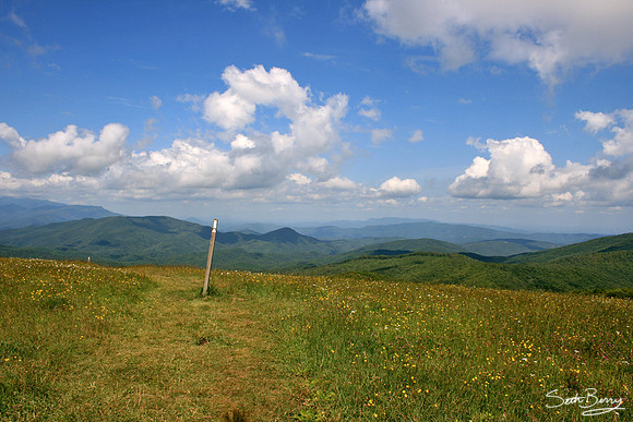 Max Patch Appalachian Trail