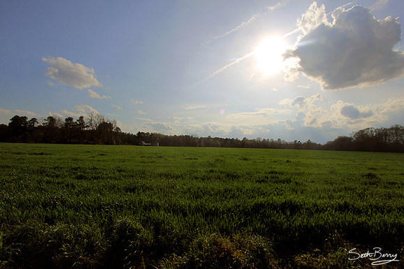 Reaping a Harvest