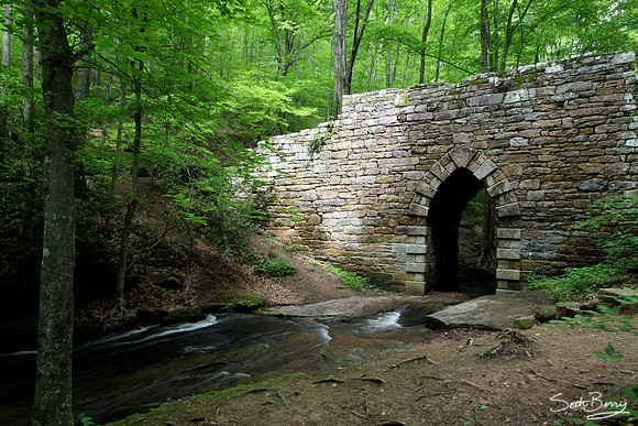 Poinsett Bridge