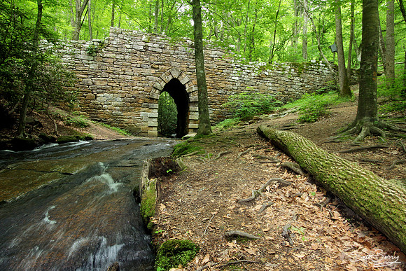 Poinsett Bridge