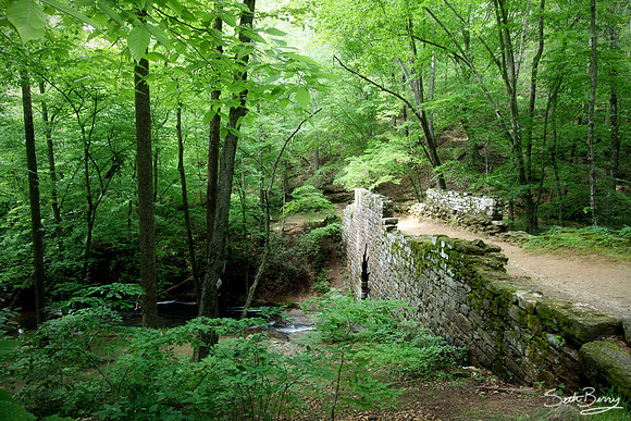 Poinsett Bridge