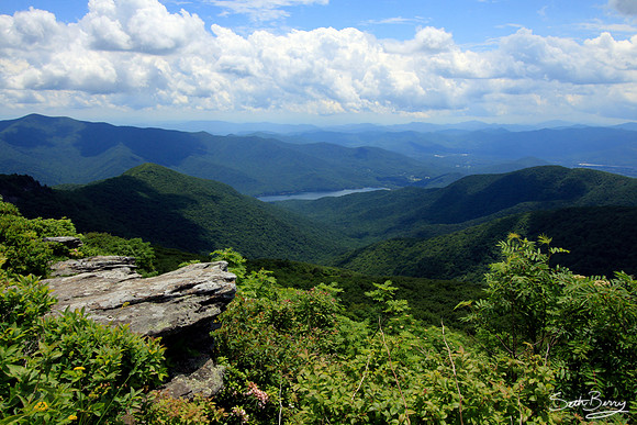 Craggy Gardens Pinnacle