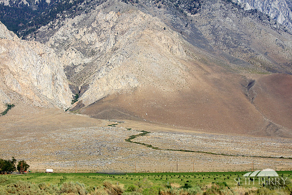 Sierra Nevada Farmland