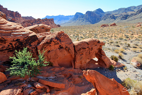 Valley of Fire Redrocks