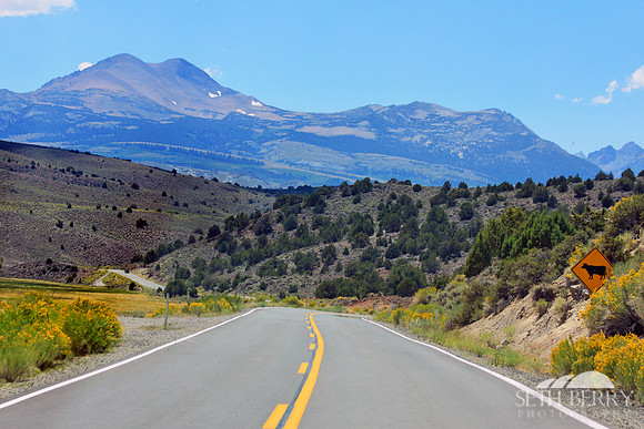 US Route 395