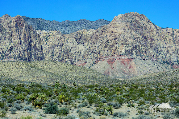 Desert Mountains