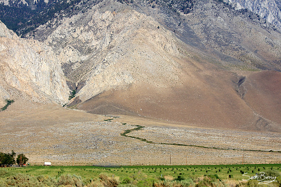Sierra Nevada Farmland