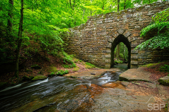 Poinsett Bridge