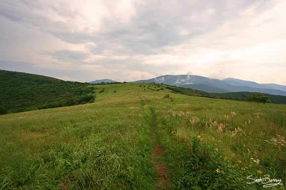 Appalachian Trail Balds