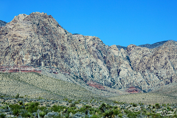 Desert Mountains