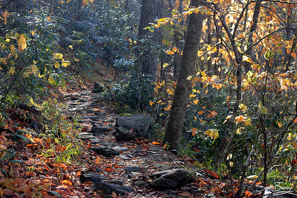 Autumn Hike