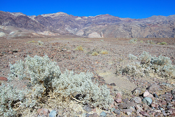 Death Valley