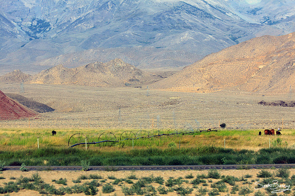 Sierra Nevada Farmland