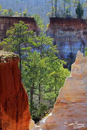 Georgia's Canyon