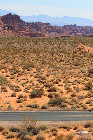 Valley of Fire Road