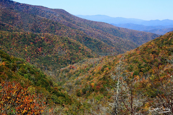 Mt. Mitchell Autumn