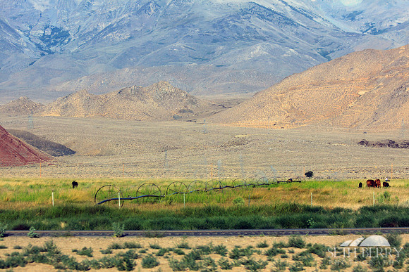 Sierra Nevada Farmland