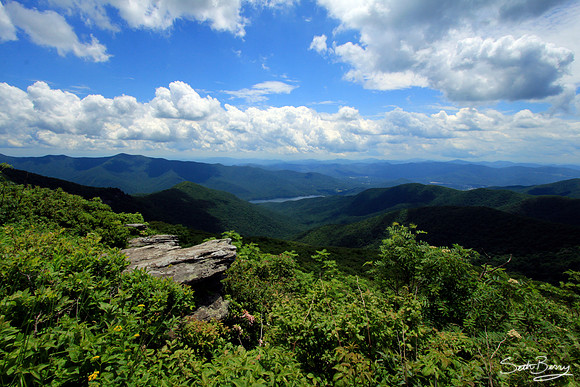 Craggy Gardens Pinnacle