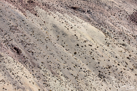 Land Slide