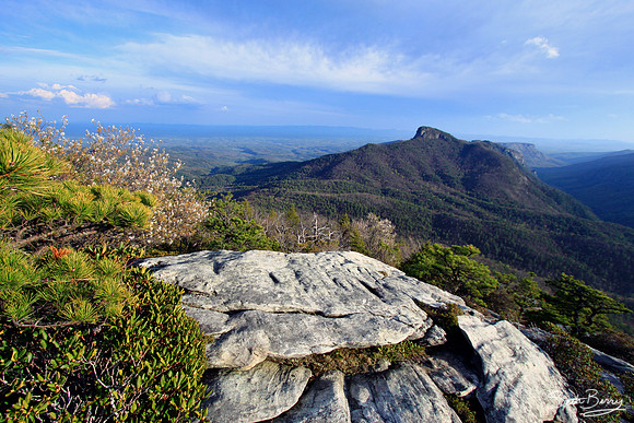 Hawksbill Mountain View