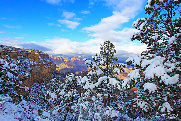 Snowy Grand Canyon