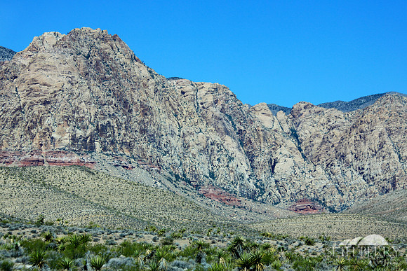 Desert Mountains