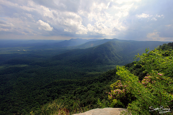 Casears Head View