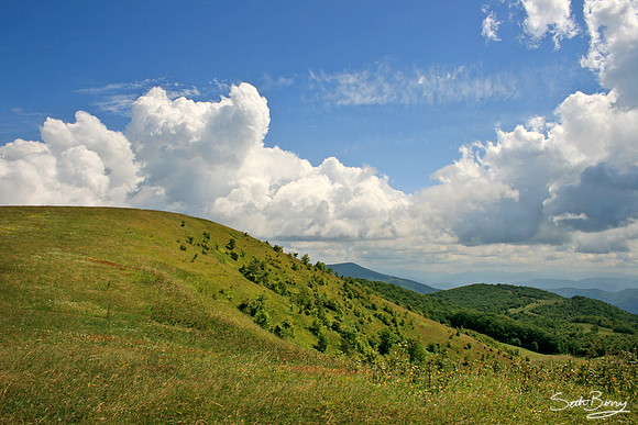 Max Patch Summer