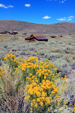 Bodie, CA