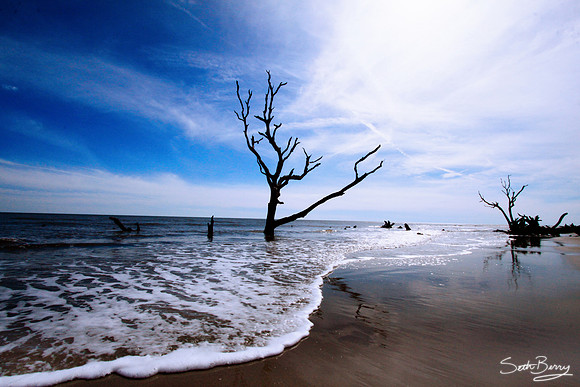 Boneyard Beach