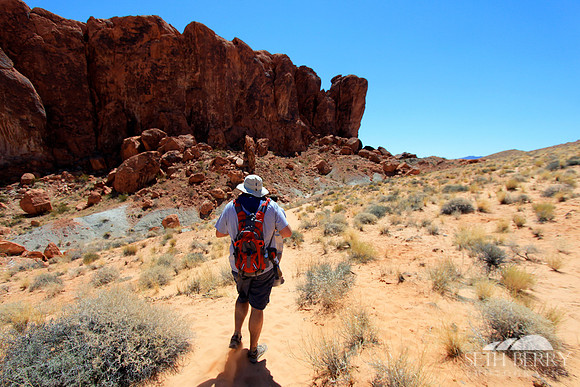 Desert Hike