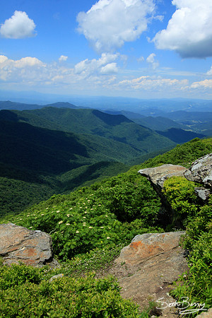 Craggy Gardens Pinnacle