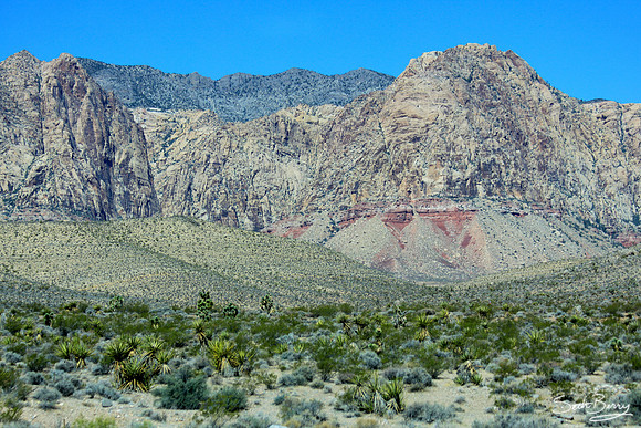 Desert Mountains