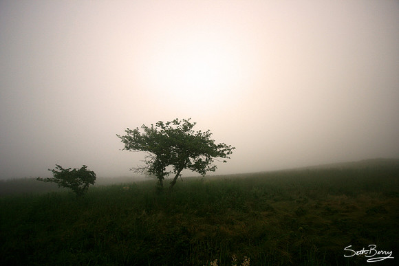 Lonesome
