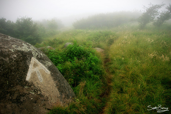 The Appalachian Trail