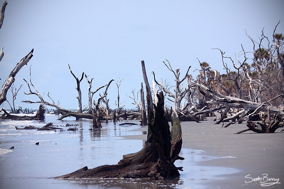 Boneyard Beach