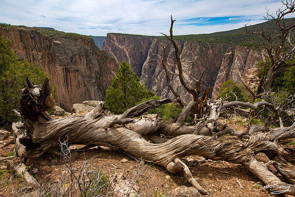 Black Canyon of the Gunnison