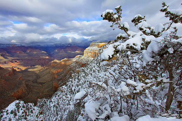 Snowy Grand Canyon
