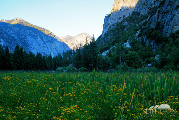 Zumwalt Meadow