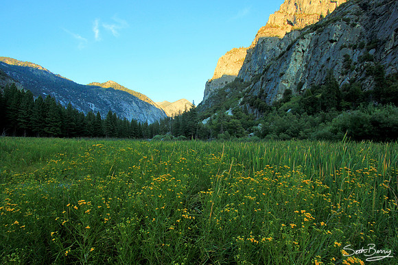 Zumwalt Meadow