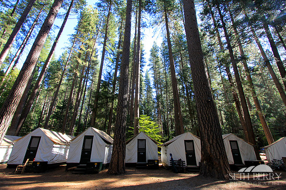 Curry Village, Yosemite Valley