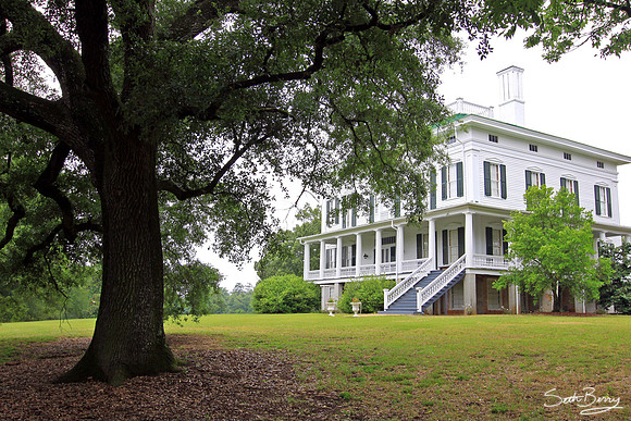 Redcliffe Plantation