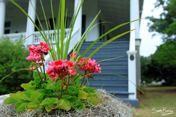 Redcliffe Plantation